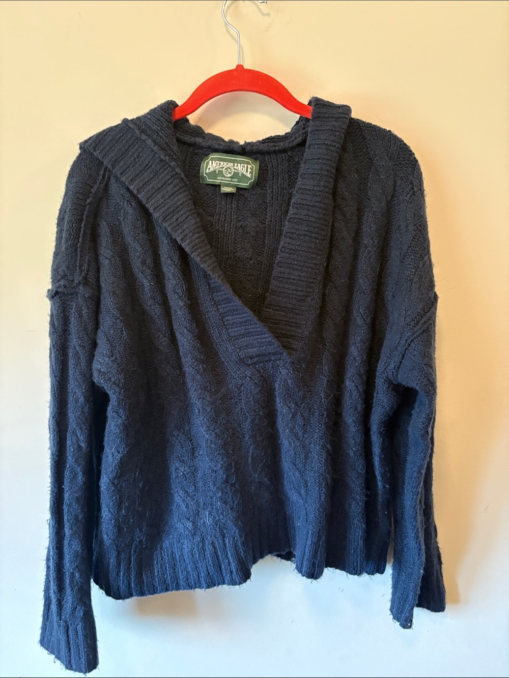 American Eagle Outfitters Navy V-Neck Hooded Cable Knit Sweater